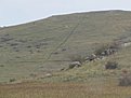 tn IMG 1733