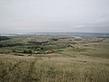 tn IMG 1741