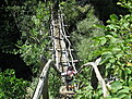 IMG 6401 resize