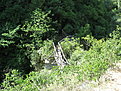 IMG 6408 resize