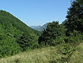 IMG 6347