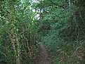 IMG 6349