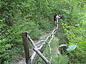 IMG 6354