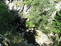 IMG 6391