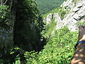 IMG 6529