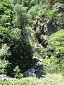IMG 6624
