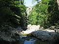 IMG 6435 resize