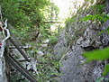 IMG 6541 resize