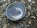 IMG 6567 resize