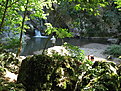 IMG 6612 resize