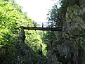 IMG 6455