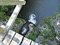IMG 6478