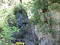 IMG 6484