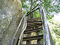IMG 6497