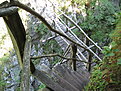 IMG 6499