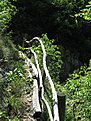 IMG 6557