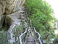 IMG 6540