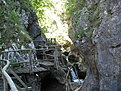 IMG 6509