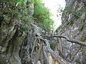 IMG 6520
