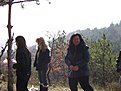 IMG 1486