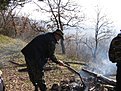 IMG 1488