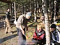 IMG 1495