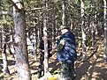 IMG 1496