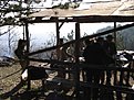 IMG 1503