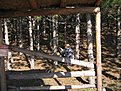 IMG 1512
