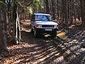 IMGA0543