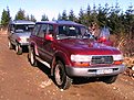 IMGA0558