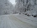 DSC08807