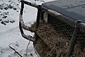 DSC01138