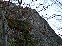 P1100809