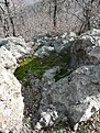 P1110504