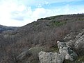 P1110562