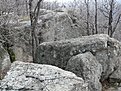 P1110663