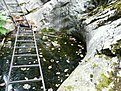P1100020