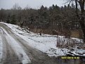 SDC10461
