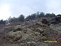 SDC10492