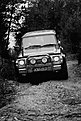 IMG 2831 copy