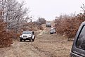 IMG 2822
