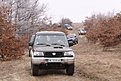 IMG 2819