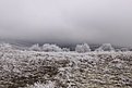 IMG 2815