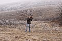 IMG 2745