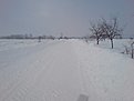 DSC00021