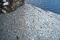 DSC03012