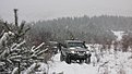 IMG 8228