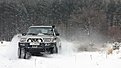 IMG 8271