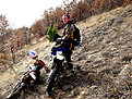 IMG 0565[1]